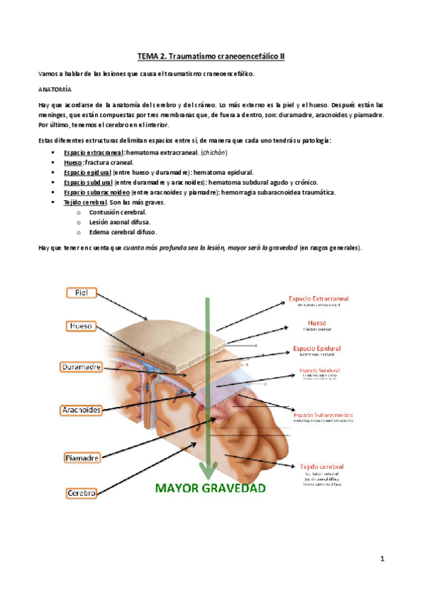 Miniatura del documento Tema-2.pdf