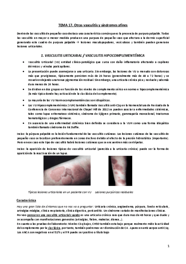 Miniatura del documento Tema-17.pdf