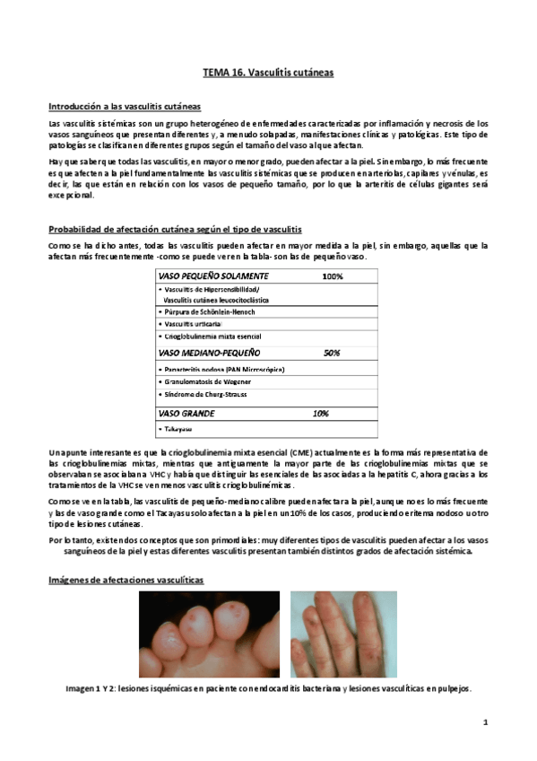 Miniatura del documento Tema-16.pdf