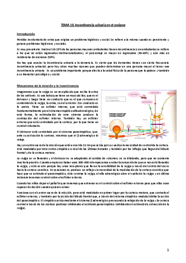 Miniatura del documento Tema-10.pdf