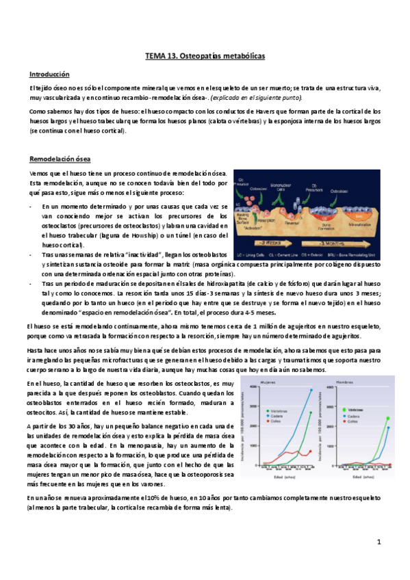 Miniatura del documento Tema-13.pdf