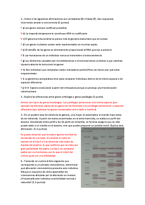 Miniatura del documento EXAMEN - 1ER PARCIAL + SOLUCIONES (1).pdf