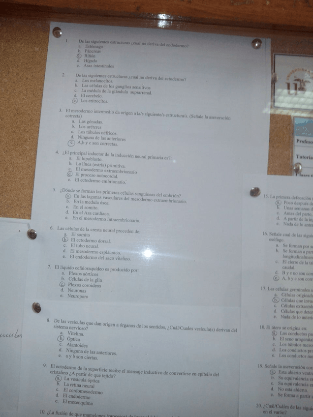 Miniatura del documento 8ed99b8a8a003b867f27465c0d2c0482.jpg