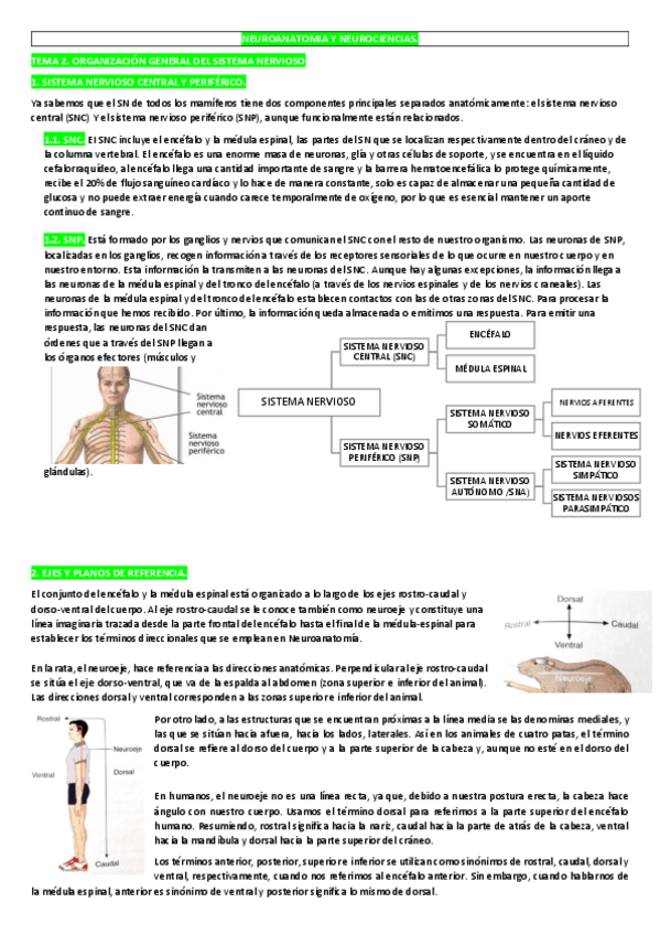 Miniatura del documento TEMA-2.pdf