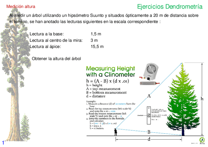 Miniatura del documento Ejercicios-dendrometria.pdf