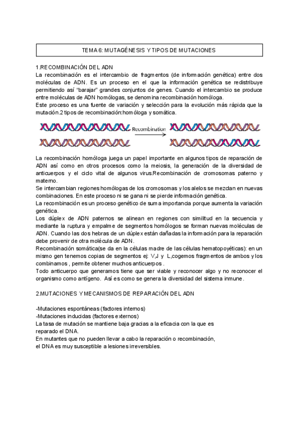 Miniatura del documento TEMA-6-BIOLOGIA-MOLECULAR-1.pdf
