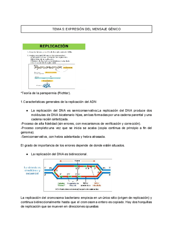 Miniatura del documento TEMA-5-EXPRESION-DEL-MENSAJE-GENICOBIOLOGIA-MOLECULAR.pdf