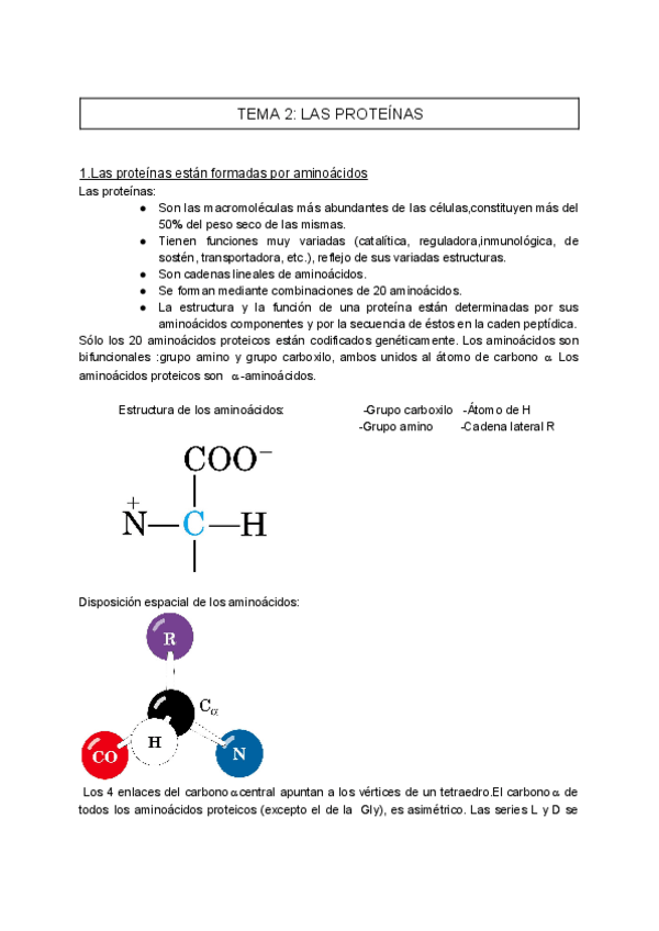 Miniatura del documento TEMA-2-BIOLOGIA-MOLECULAR.pdf