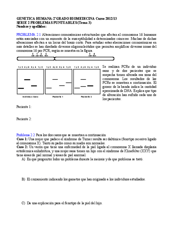 Miniatura del documento PROBLEMAS P3 (1).pdf
