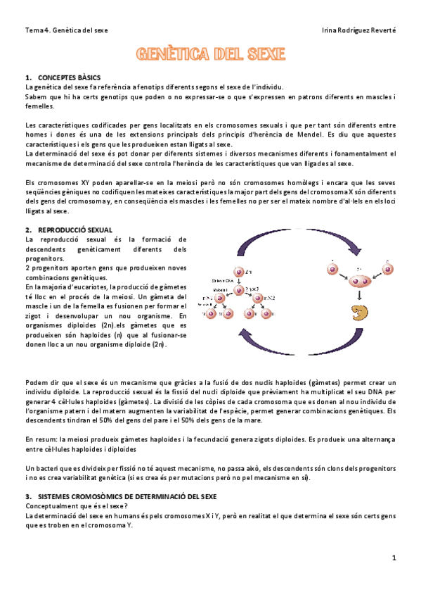Miniatura del documento Tema-4-GEN.pdf