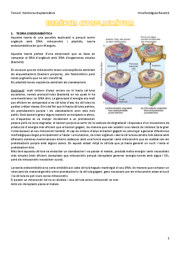 Miniatura del documento Tema-6-GEN.pdf