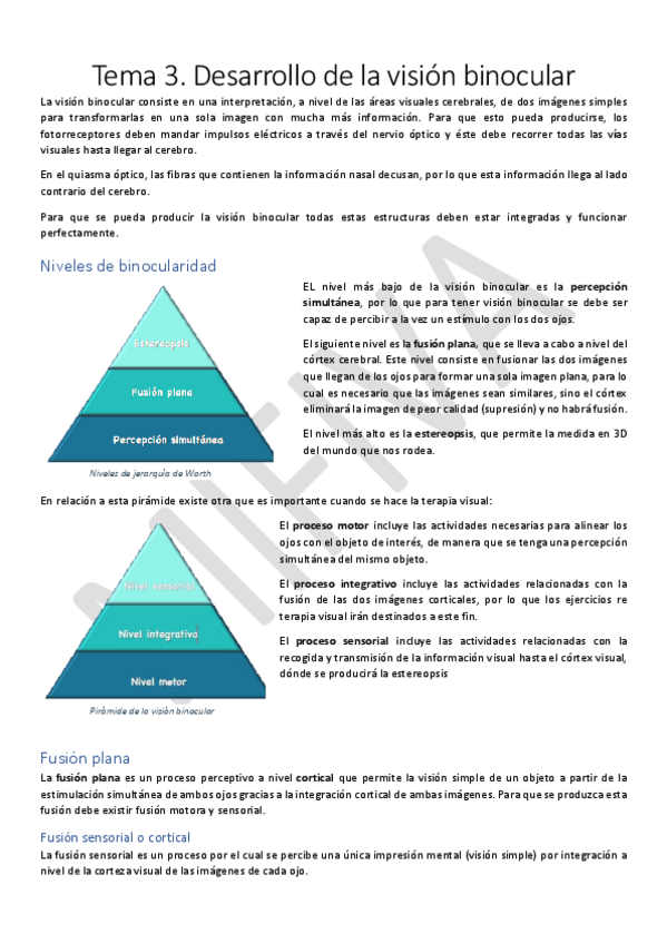 Miniatura del documento Tema-3.pdf