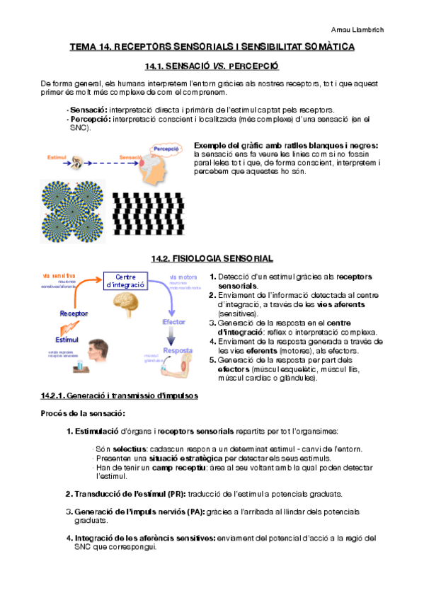 Miniatura del documento Apunts-Fisiologia-i-Fisiopatologia-I-Tema-14.pdf
