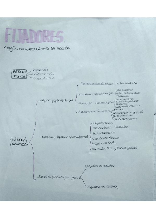 Miniatura del documento esquema-de-fijadores.pdf