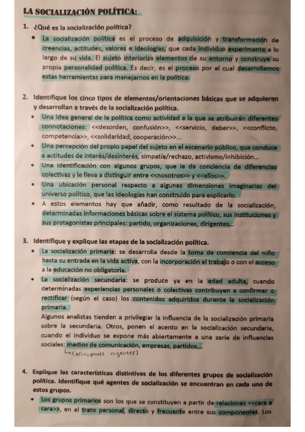 Miniatura del documento La-socializacion-politica-actores.pdf