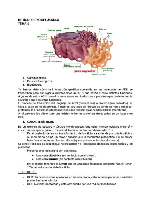 Miniatura del documento BIOLOGIA-9.pdf