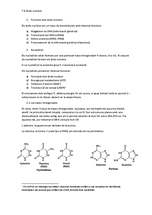 Miniatura del documento T.pdf