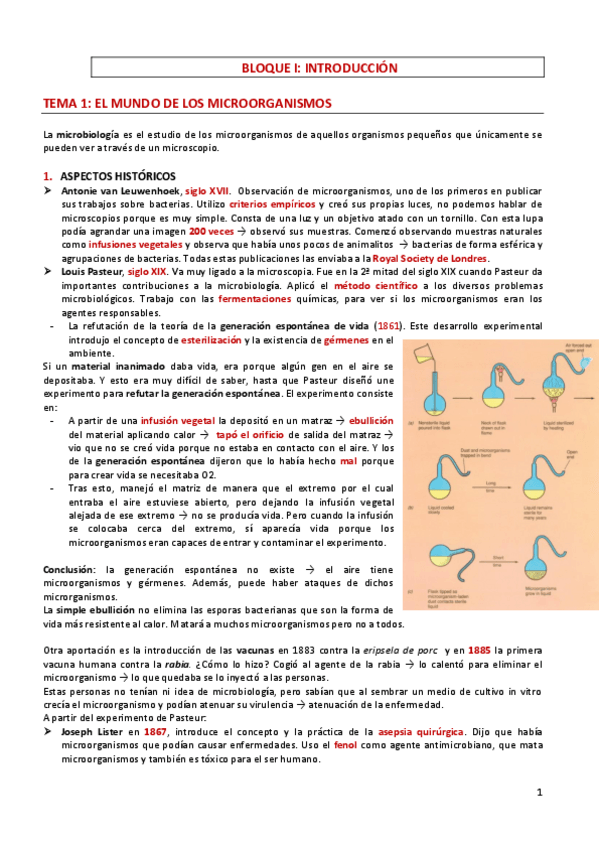 Miniatura del documento BLOQUE-1-MON-MICROORGANISMOS.pdf