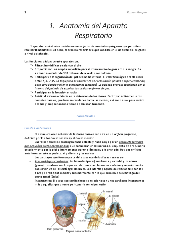 Miniatura del documento 1.Fosas Nasales y Senos Paranales