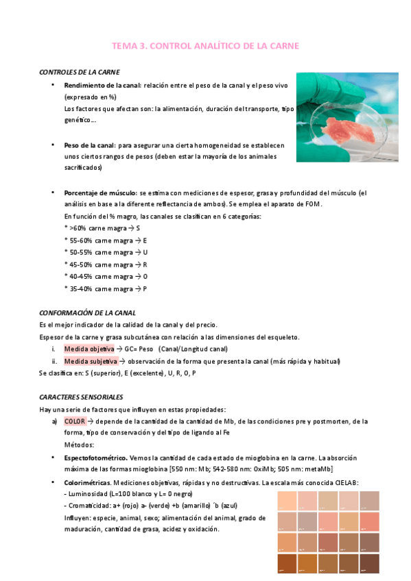 Miniatura del documento TEMA-3.pdf