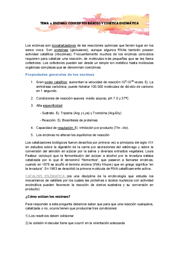 Miniatura del documento TEMA-5-resumen.pdf