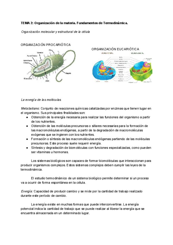 Miniatura del documento TEMA-2-Organizacion-de-la-materia.pdf