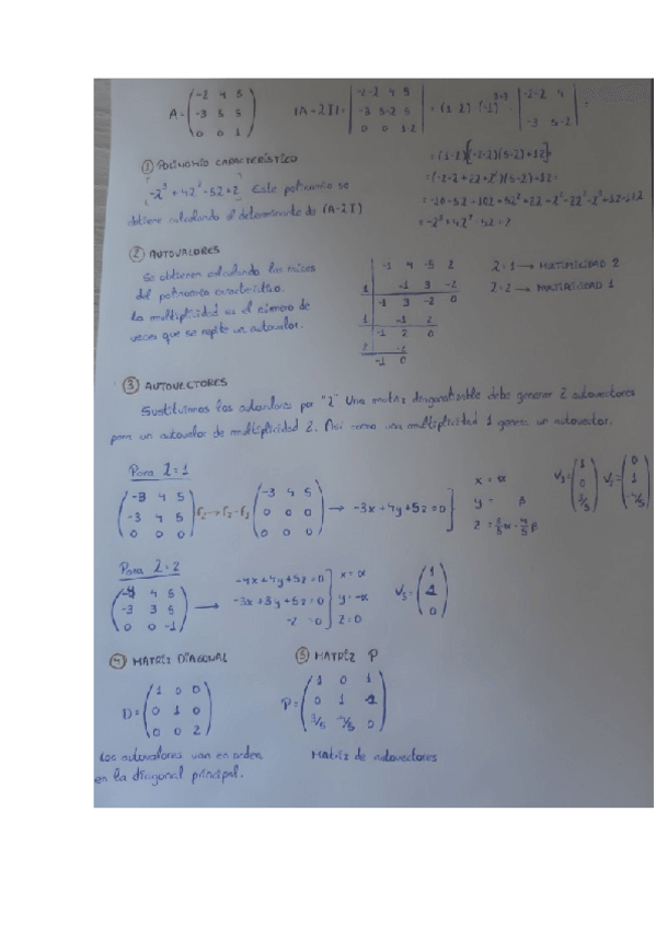 Miniatura del documento Diagonalizacion-paso-a-paso.docx