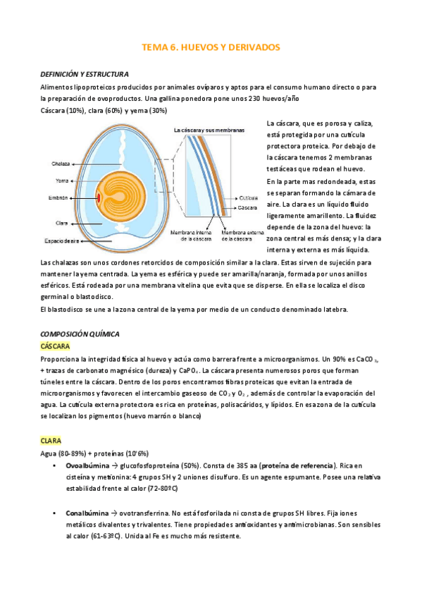 Miniatura del documento TEMA-6.pdf