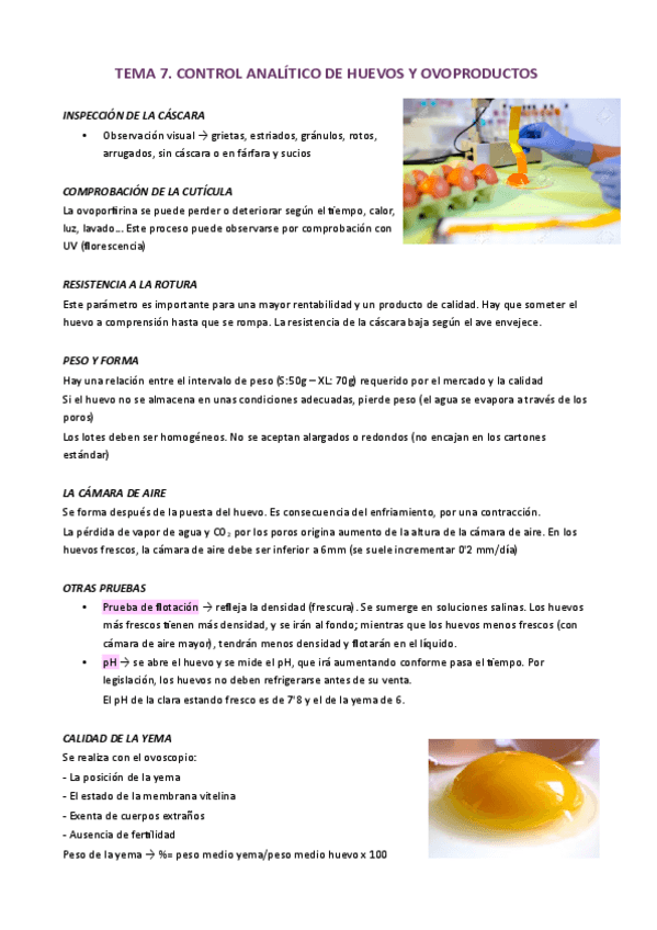 Miniatura del documento TEMA-7.pdf