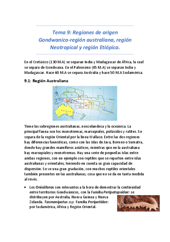 Miniatura del documento Tema-9-Regiones-de-origen-Gondwanico-region-australiana-region-Neotropical-y-region-Etopica.pdf