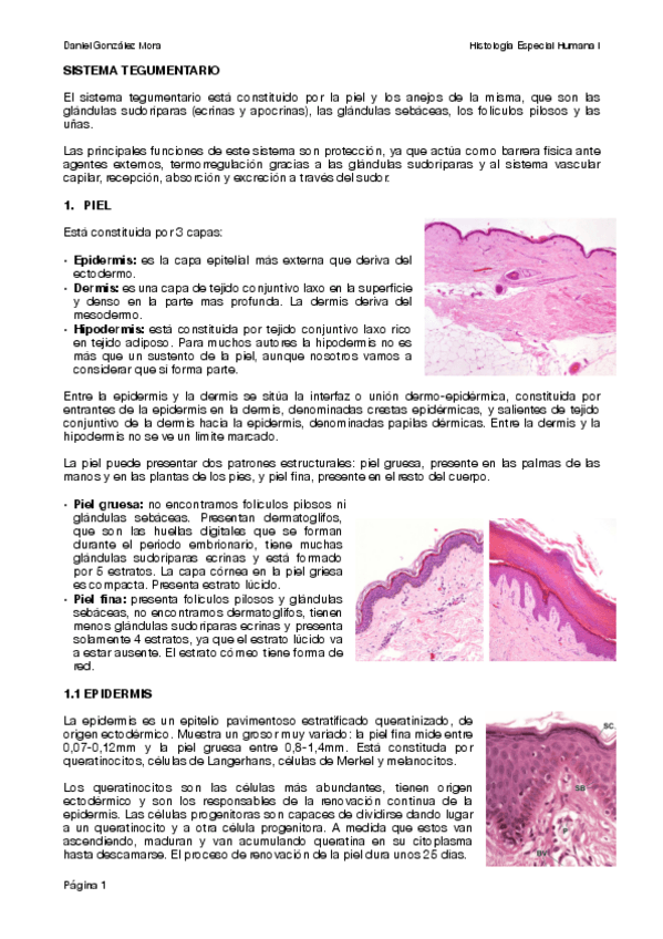 Miniatura del documento 6.pdf