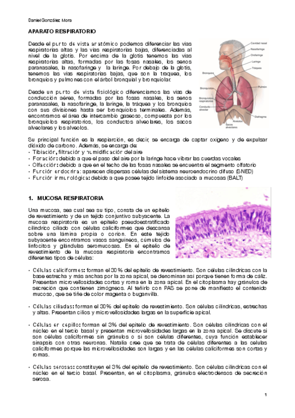 Miniatura del documento 7.pdf