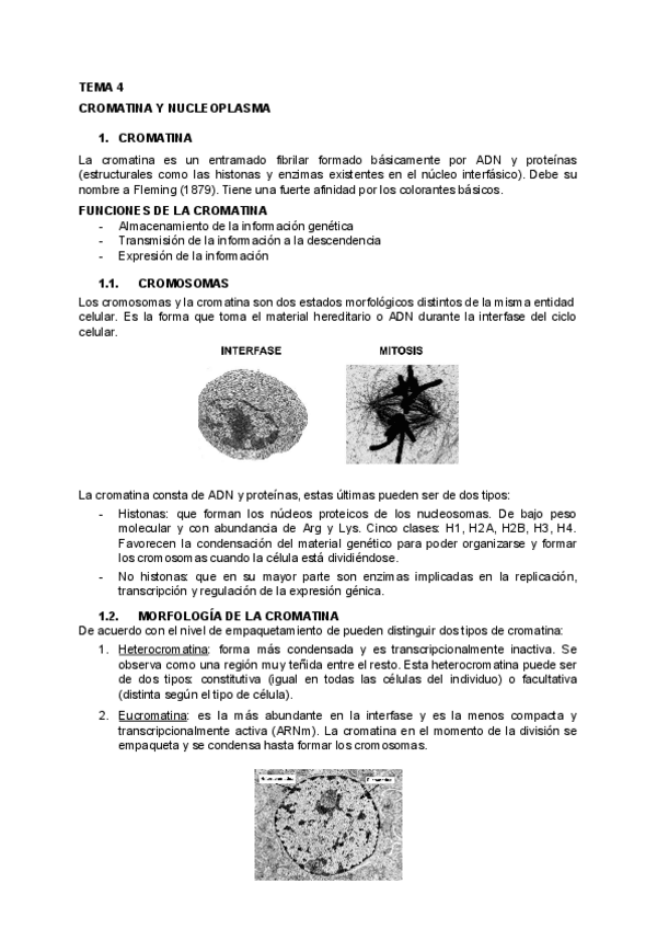 Miniatura del documento BIOLOGIA-TEMA-4.pdf