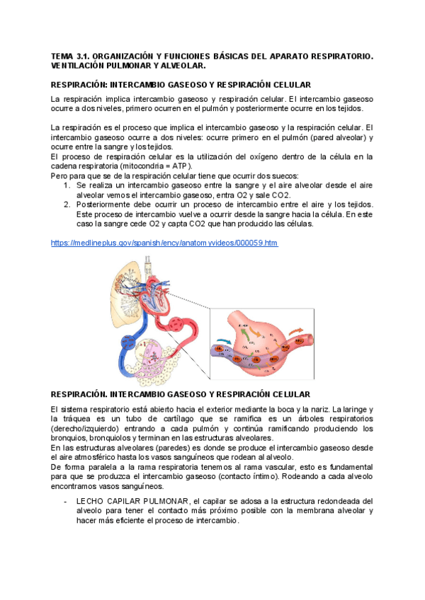 Miniatura del documento FISIOLOGIA-TEMA-3.pdf