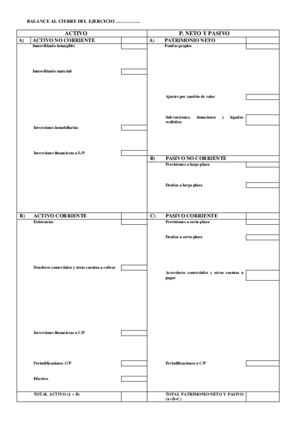 Miniatura del documento Balance-y-cuenta-de-perdidas-y-ganancias.doc