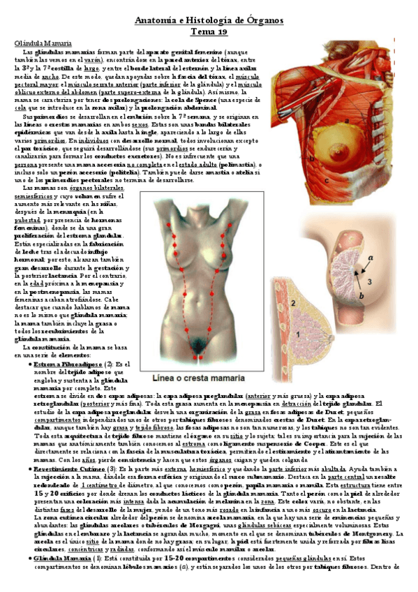 Miniatura del documento Tema-19.pdf