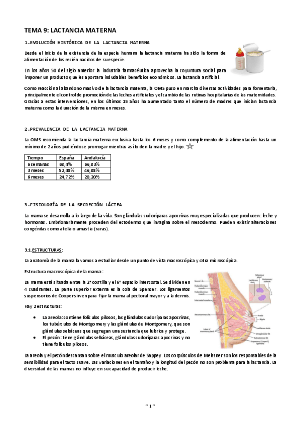 Miniatura del documento Tema-9-lactancia-materna.pdf