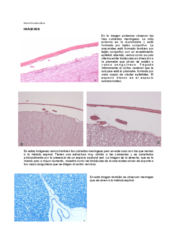 Miniatura del documento G4.pdf