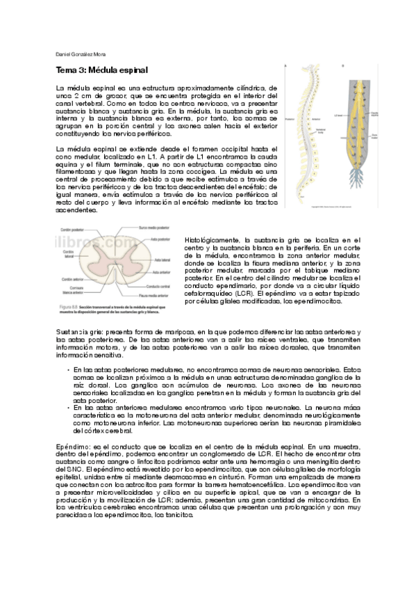 Miniatura del documento T3.pdf