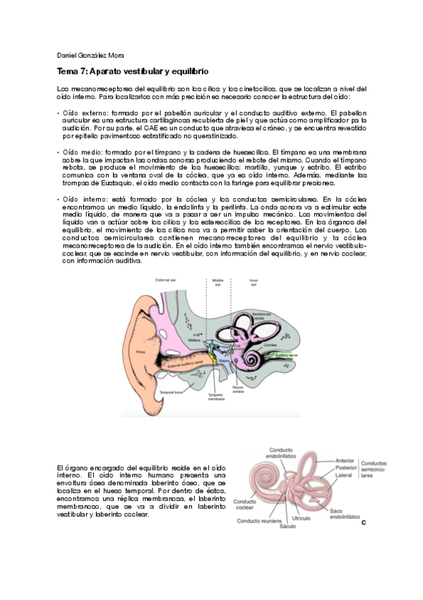 Miniatura del documento T7.pdf