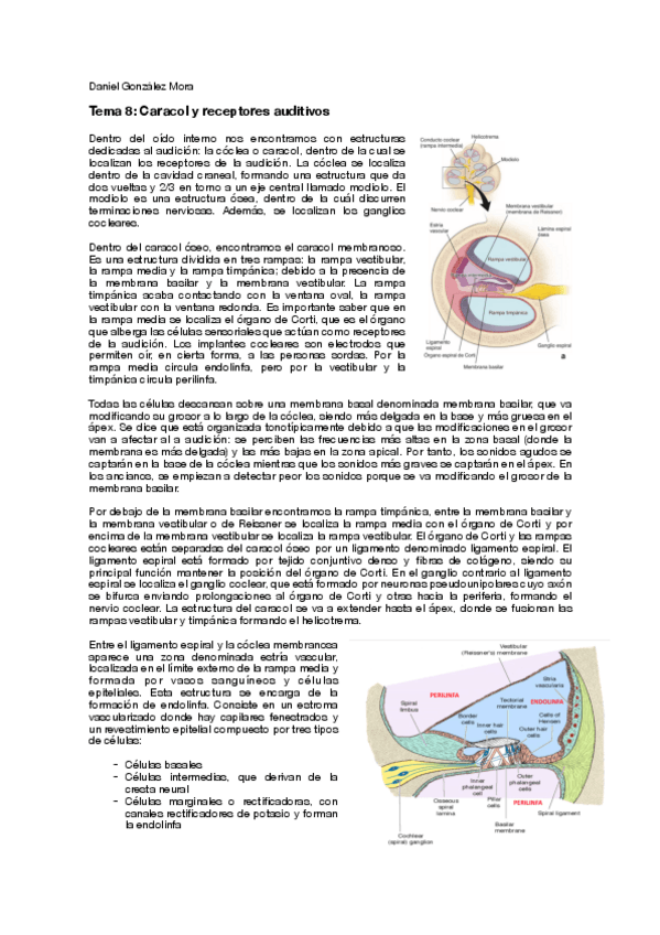 Miniatura del documento T8.pdf