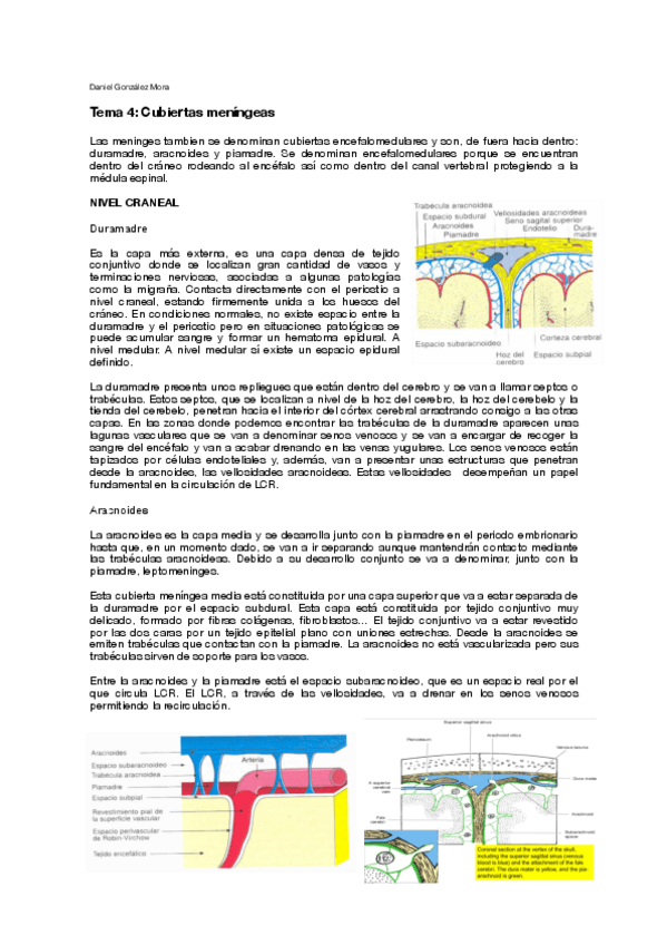 Miniatura del documento T4.pdf