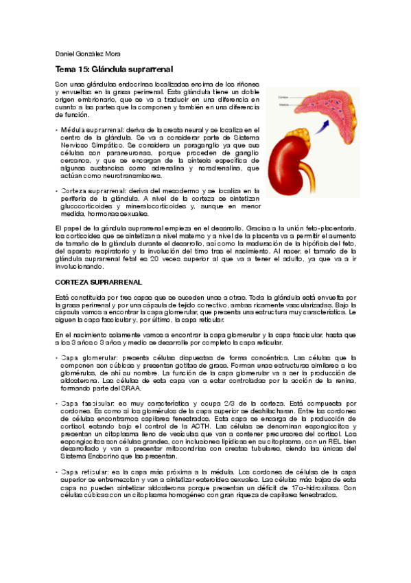 Miniatura del documento T15.pdf