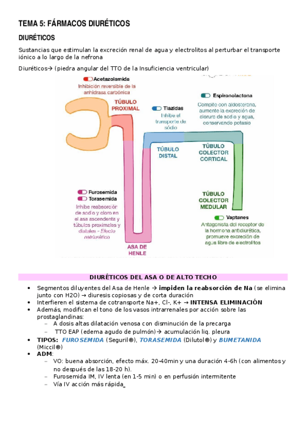 Miniatura del documento TEMA-5F.docx