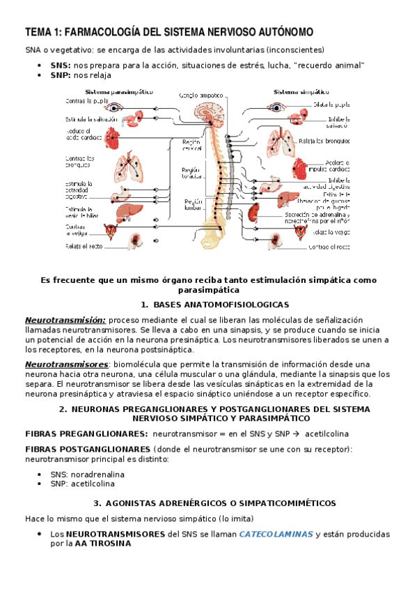 Miniatura del documento TEMA-1F.docx