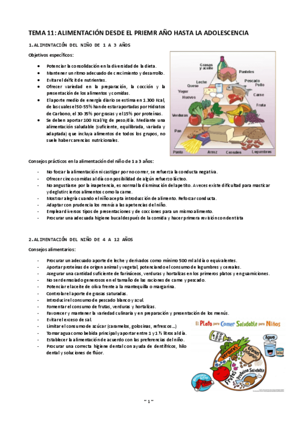Miniatura del documento Tema-11-alimentacion-desde-1o-ano-hasta-adolescencia.pdf