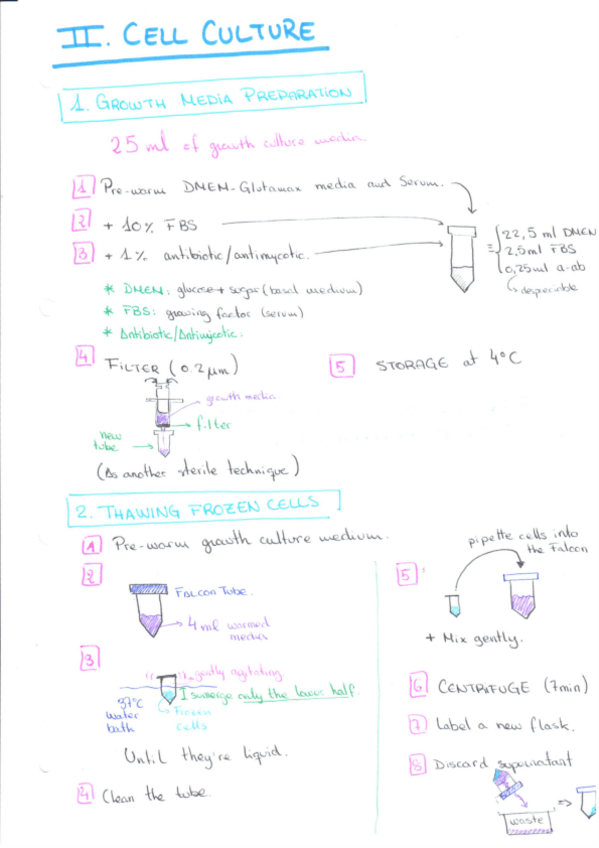 Miniatura del documento lab bio.pdf