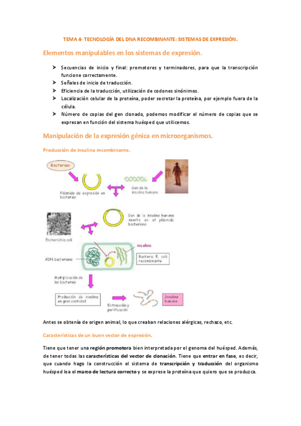 Miniatura del documento tema4.pdf