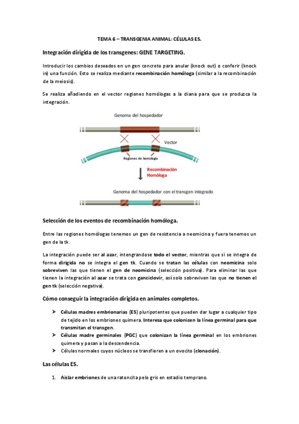 Miniatura del documento tema6II.pdf