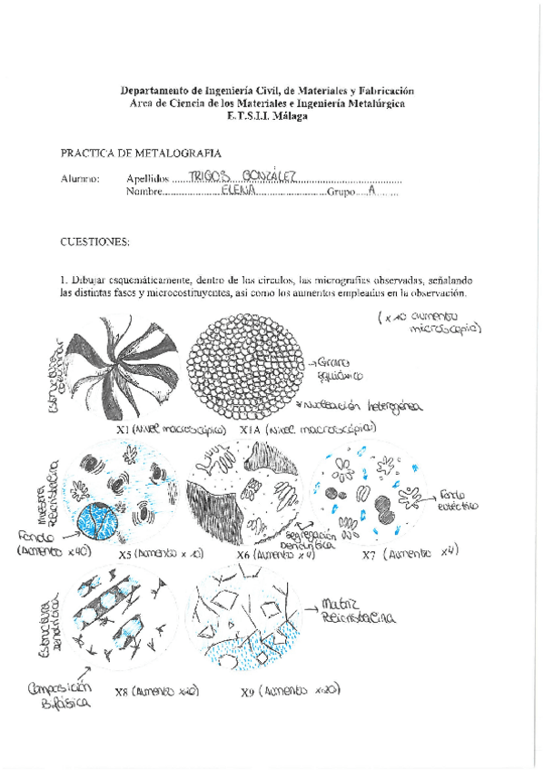 Miniatura del documento PRACTICAS-CIENCIA-DE-MATERIALES.pdf